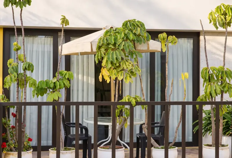 Terraza con mesa, sombrilla y plantas